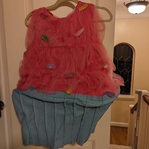 Women's (or kids) cupcake costume with hoop